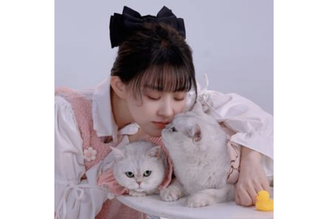 小豆花 小豆花