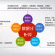 數據分析師 數據分析師