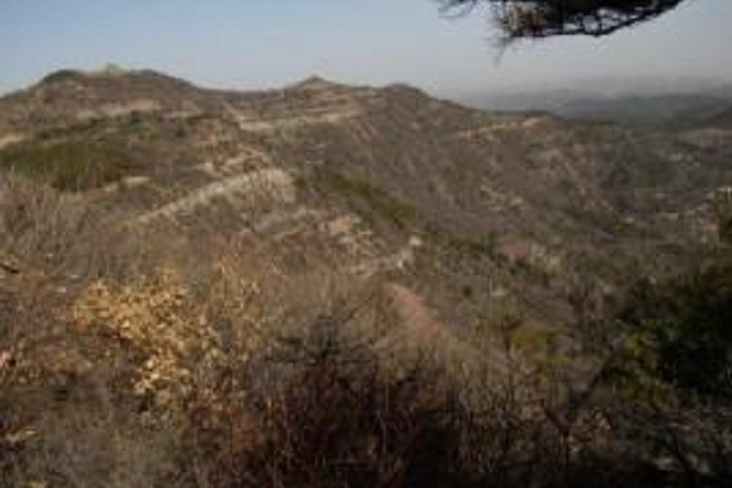 石千峰組 石千峰組