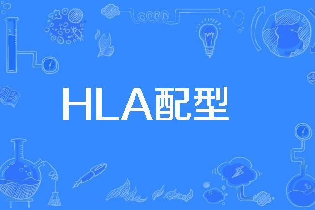 HLA配型