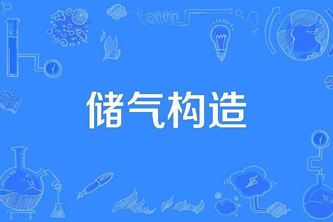 儲氣構造 儲氣構造