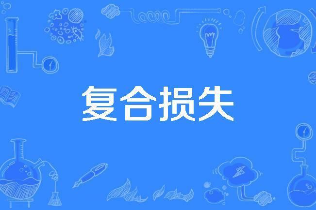 複合損失 複合損失