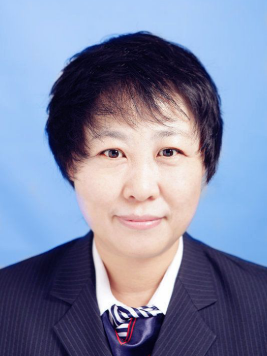 劉晶(遼寧省瀋陽市瀋河區國有資產監督管理局副局長)