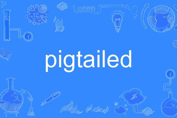 pigtailed pigtailed