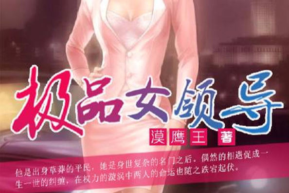 極品女領導 極品女領導