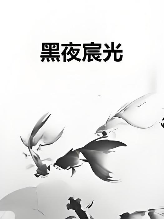 黑夜宸光 黑夜宸光