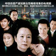 晚婚(2009年周曉文執導電視劇)