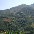 下半坡村 下半坡村