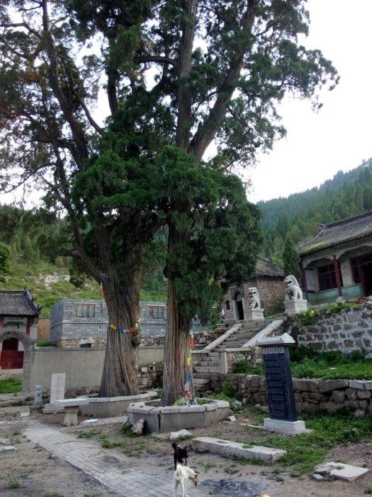瀾頭村 瀾頭村