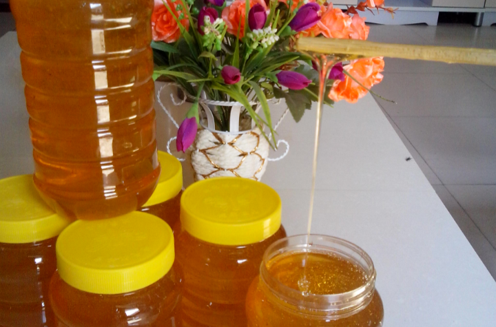 蜂蜜減肥法