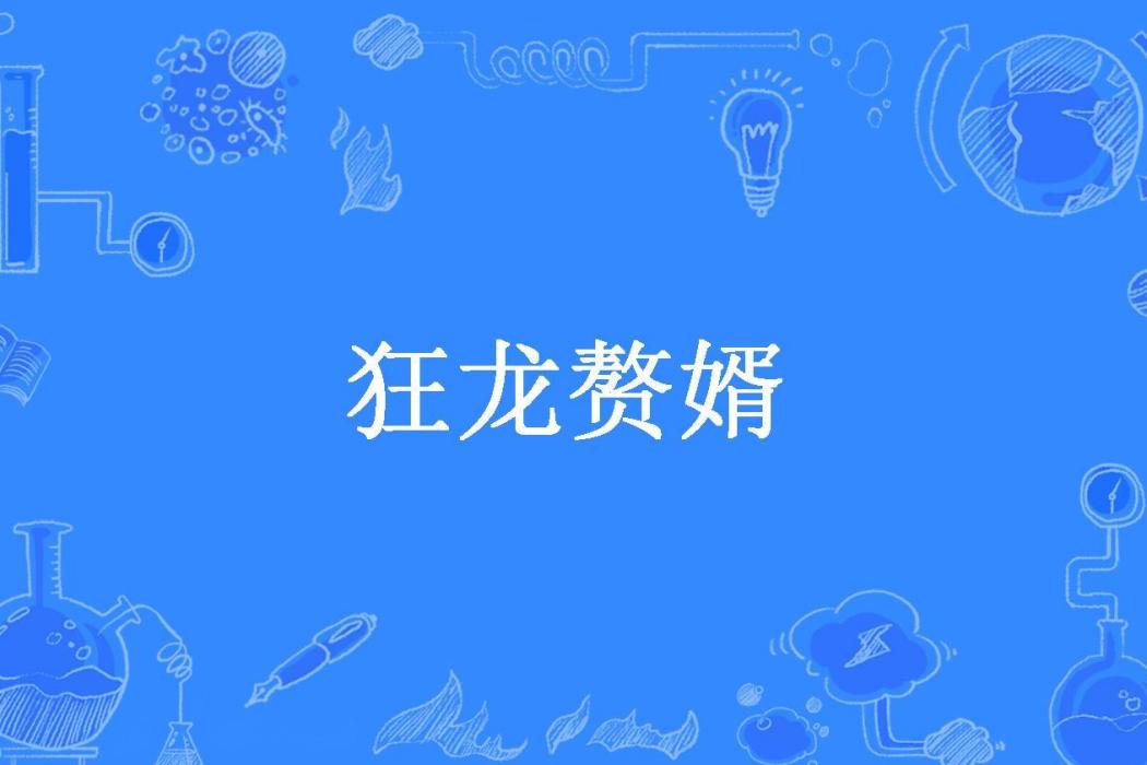 狂龍贅婿(子非魚人所著小說) 狂龍贅婿(子非魚人所著小說)