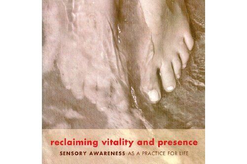 reclaiming vitality & presence reclaiming vitality & presence