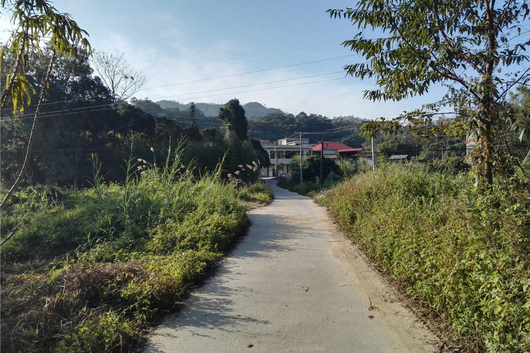 力沖屯 力沖屯