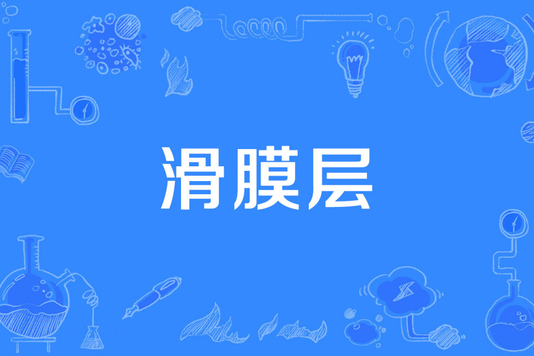 滑膜層 滑膜層