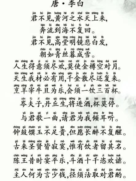 將進酒(婷婷唱古文專輯中的單曲) 將進酒(婷婷唱古文專輯中的單曲)