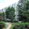 小屯東里 小屯東里