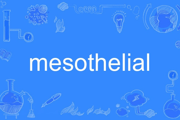 mesothelial mesothelial
