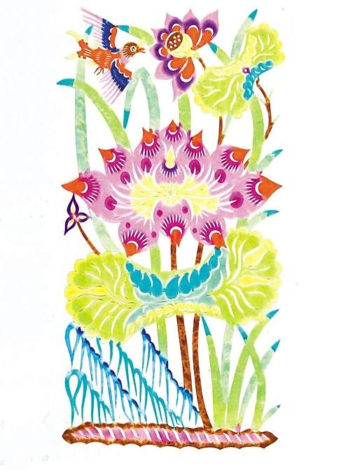 小鳥蓮花 小鳥蓮花