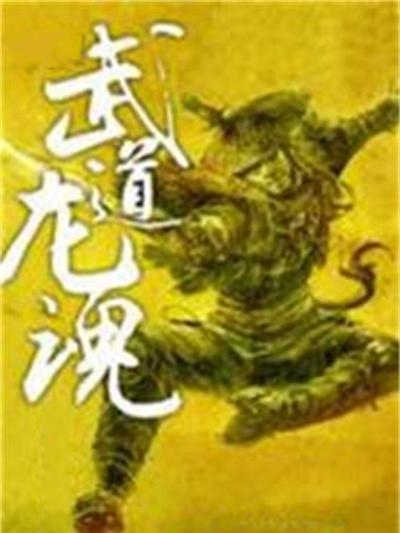 武道龍魂 武道龍魂