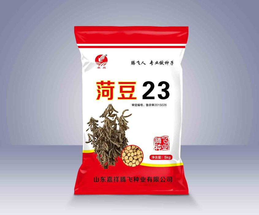 菏豆23 菏豆23