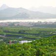 景村(山東省青島市平度市明村鎮下轄村) 景村(山東省青島市平度市明村鎮下轄村)