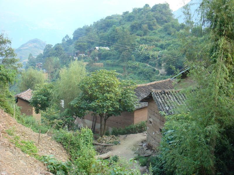 日尼村 日尼村