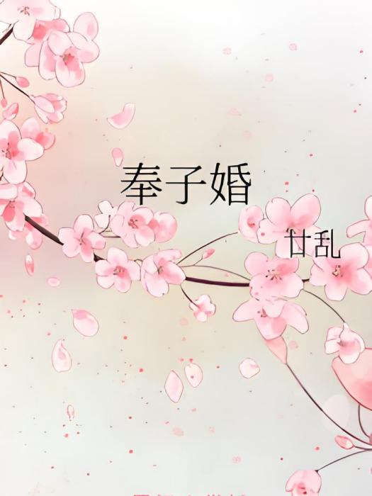 奉子婚 奉子婚