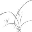 蘭草報社 蘭草報社