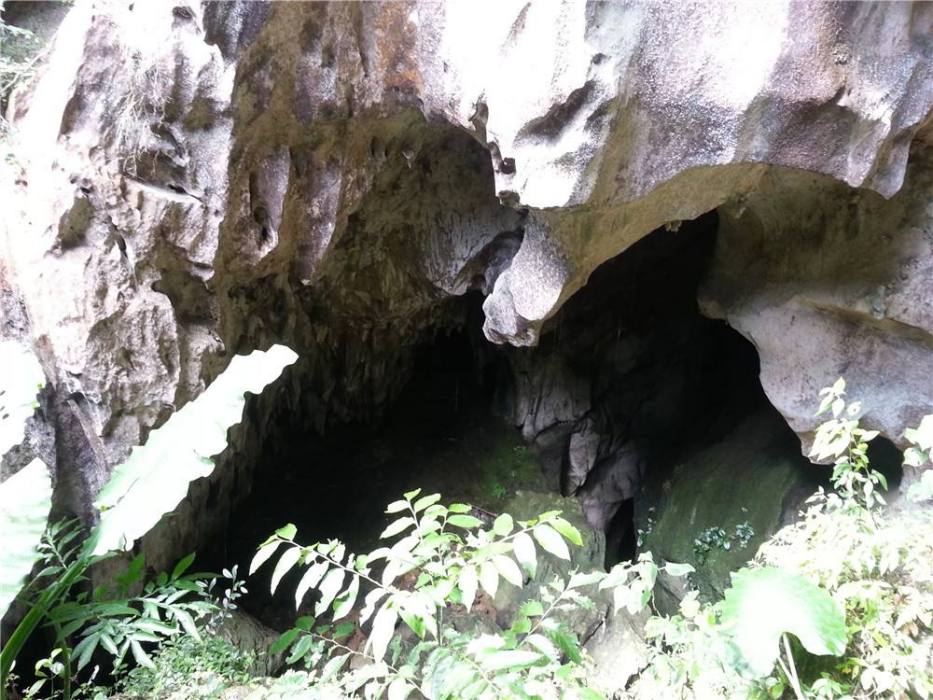 千龍洞(毛感千龍洞) 千龍洞(毛感千龍洞)