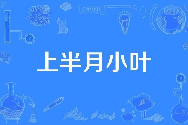 上半月小葉 上半月小葉