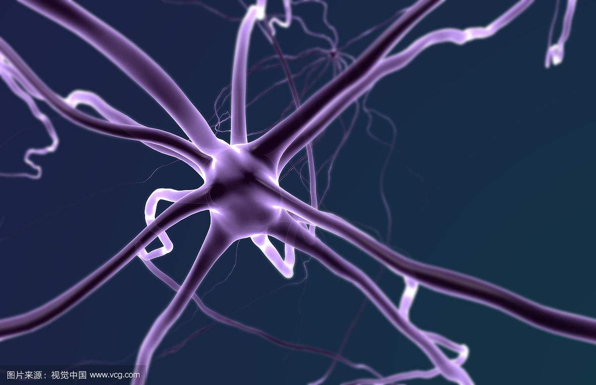 神經元細胞