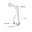 胸腔共鳴(胸聲) 胸腔共鳴(胸聲)