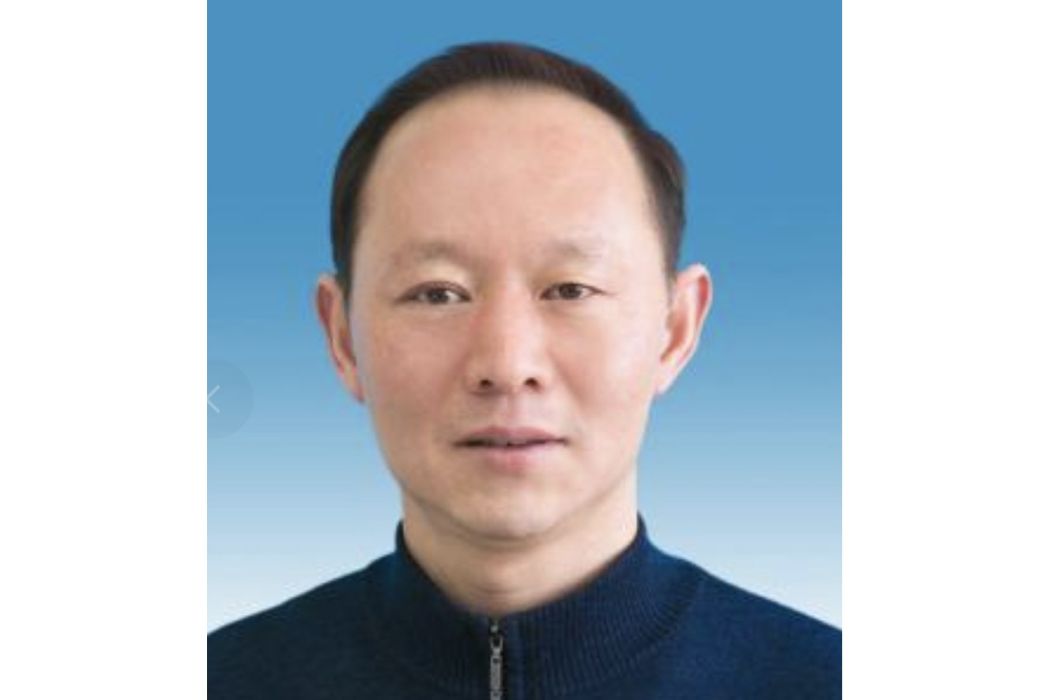 王輝(安徽省淮南市發展和改革委員會黨組成員、派駐市發改委紀檢組組長)