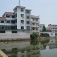 單莊村(江蘇省姜堰市張甸鎮下轄村) 單莊村(江蘇省姜堰市張甸鎮下轄村)
