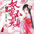 盛世奴妃 盛世奴妃