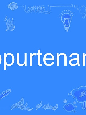 appurtenant appurtenant