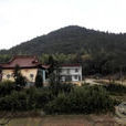 小鰲坑村 小鰲坑村