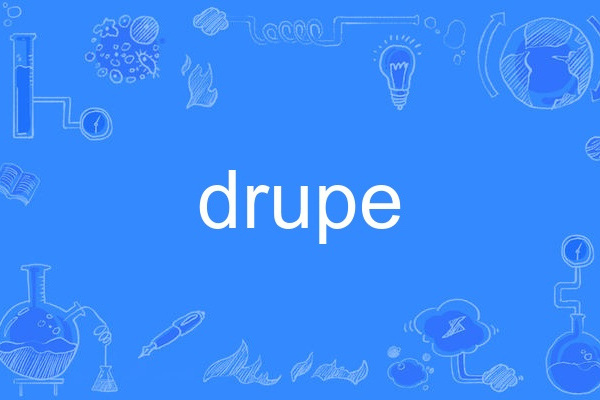 drupe drupe