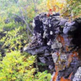 山里鄉 山里鄉