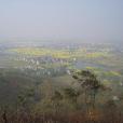 聯浦村 聯浦村