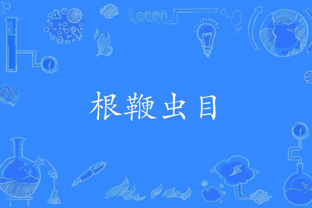 根鞭蟲目 根鞭蟲目