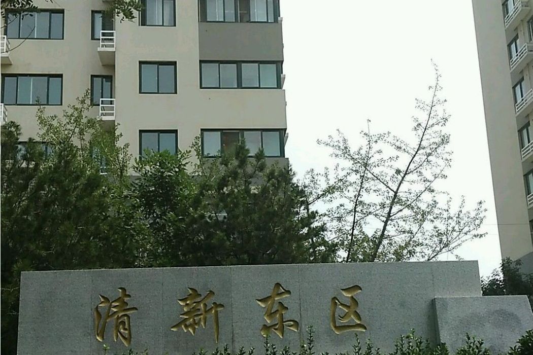 清新東區 清新東區