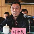 劉為民(南昌鐵路建築工程有限責任公司總經理) 劉為民(南昌鐵路建築工程有限責任公司總經理)