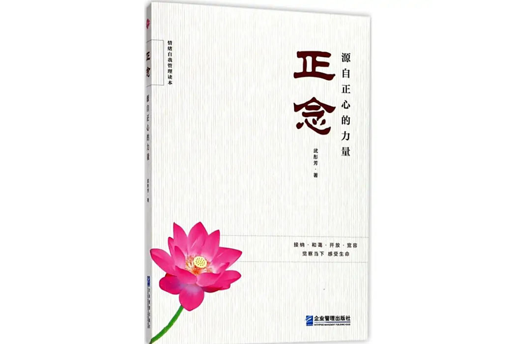 正念(企業管理出版社2017年出版的管理學著作) 正念(企業管理出版社2017年出版的管理學著作)