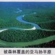 Amazon Plain Amazon Plain
