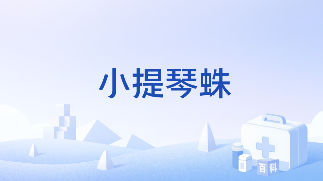 小提琴蛛 小提琴蛛