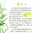 翠鳥(菁莽著散文) 翠鳥(菁莽著散文)