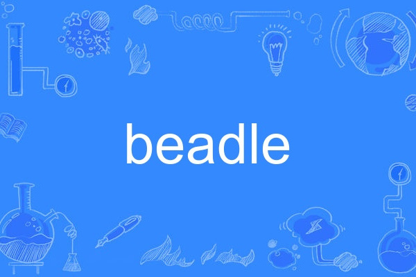 beadle beadle