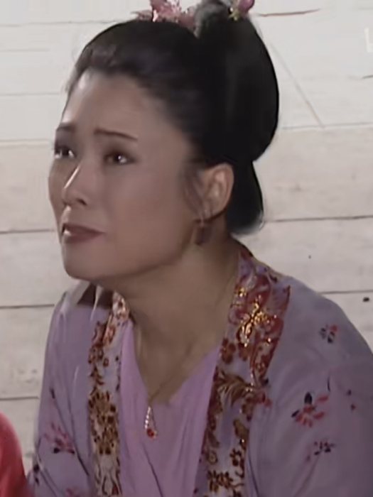 張文惠(中國內地女演員) 張文惠(中國內地女演員)