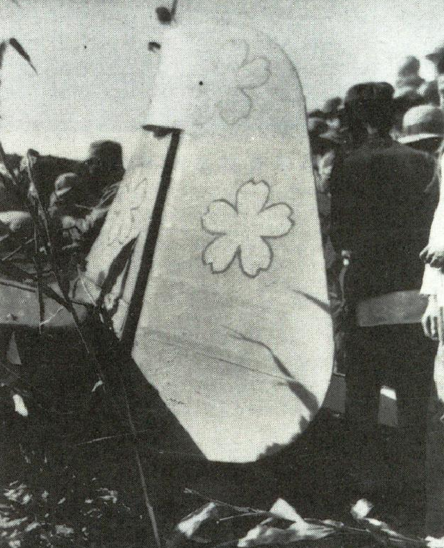 忻口戰役中擊落的日軍飛機照片